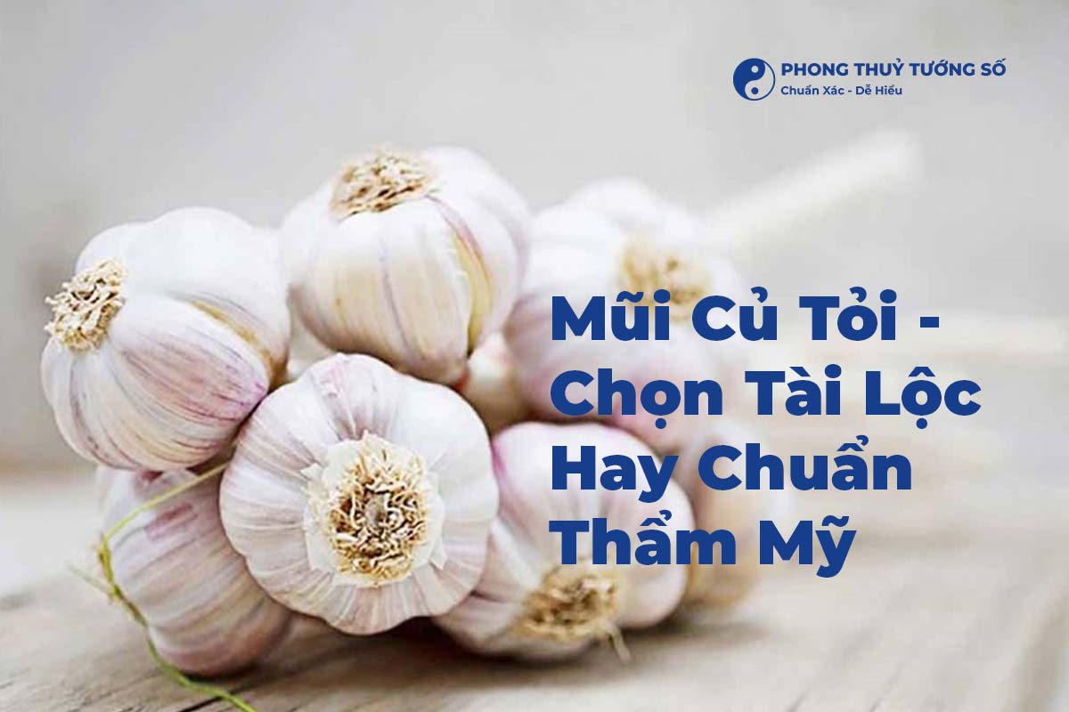 Mũi Củ Tỏi - Chọn Tài Lộc Hay Chuẩn Thẩm Mỹ