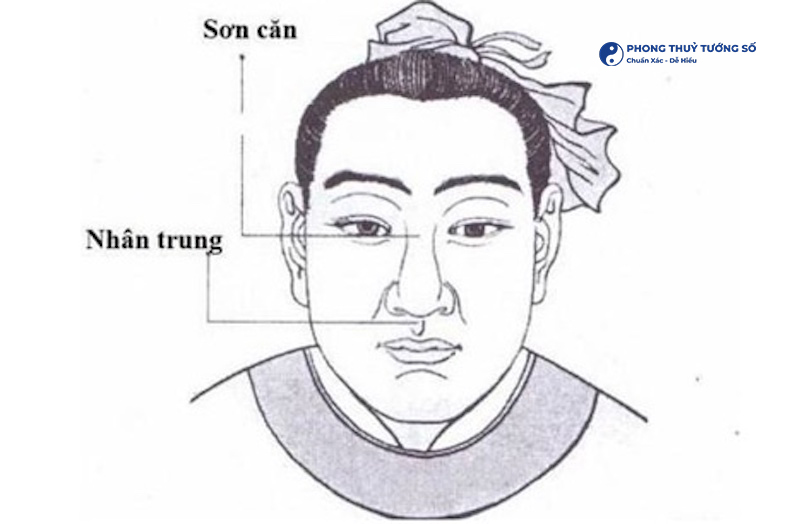 Đặc điểm nhận diện dáng mũi lân