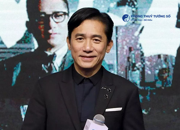 Đàn ông có tướng mũi kỳ lân