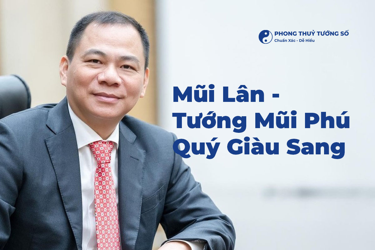 Tìm hiểu về tướng mũi lân
