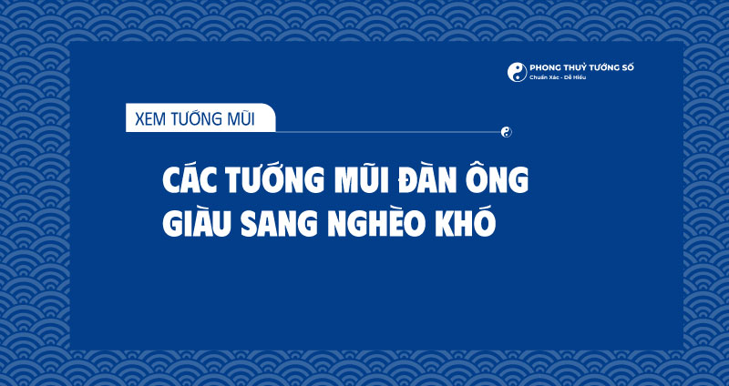 Tìm hiểu về các loại tướng mũi đàn ông giàu sang và nghèo khó