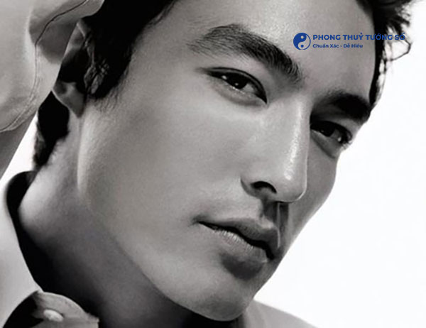 Các nguyên nhân tạo ra chiếc mũi đẹp với phần sống cao