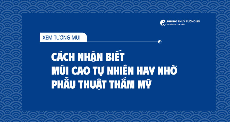 Giải thích mũi cao là như thế nào