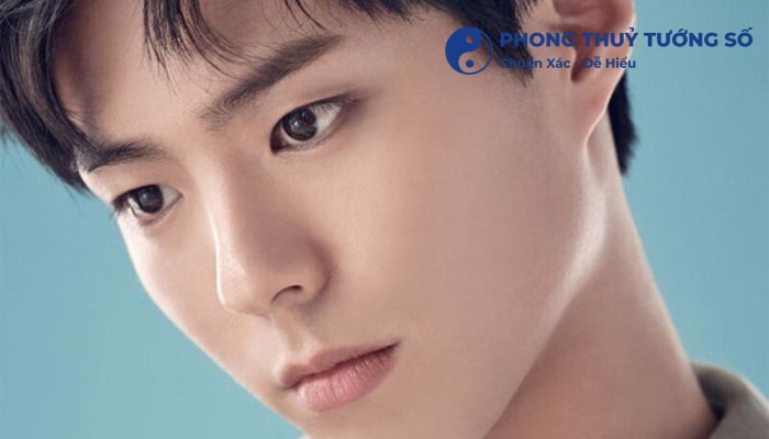 Tướng mũi dọc dừa nam