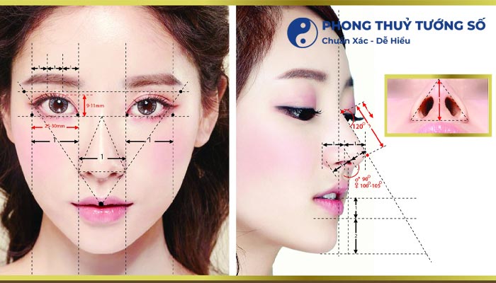 Mũi cao dọc dừa là như thế nào?