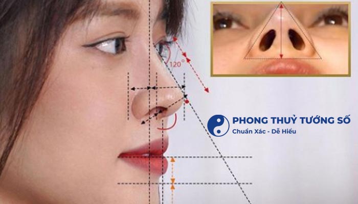 Lý giải tất tần tật về tướng mũi cao dọc dừa