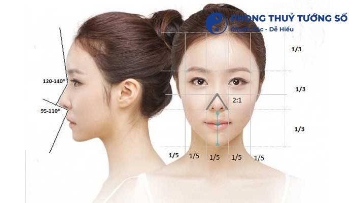 Sống mũi dọc dừa cao thẳng và thanh tú