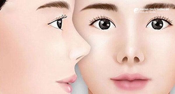 Mũi hếch và mũi hỉnh là 2 dáng mũi khác nhau