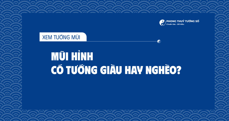 Mũi Hỉnh Có Tướng Giàu Hay Nghèo?