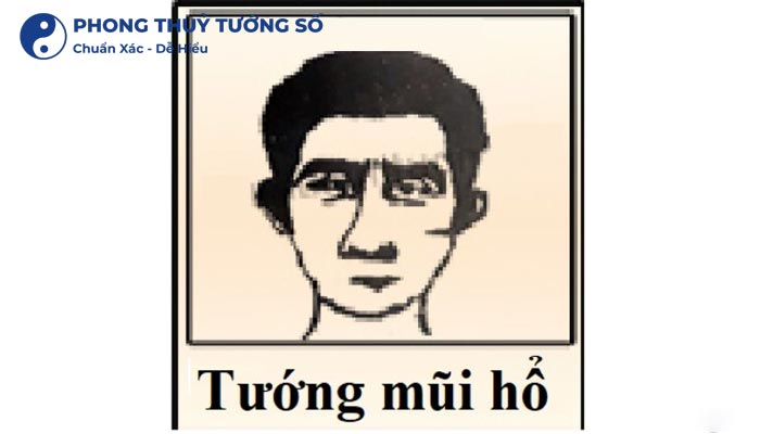 Mũi hổ ở nam có tướng số tốt xấu thế nào?