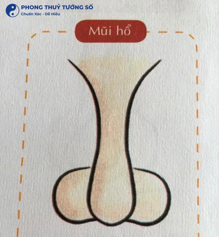 Xem tướng mũi hổ - mũi cọp ở nữ giới