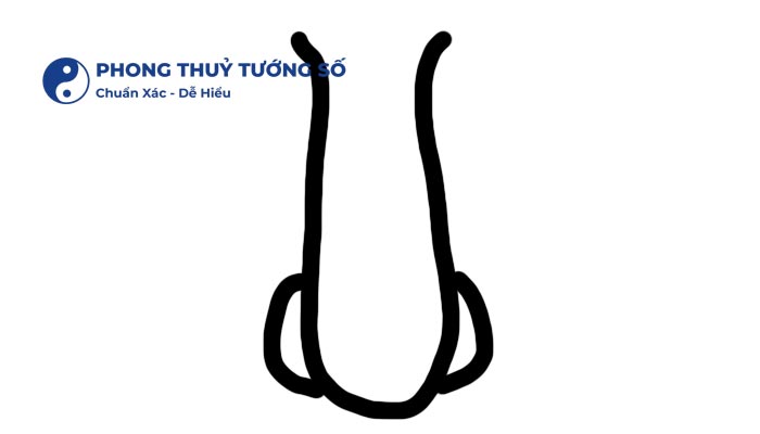 Mũi Hổ - Tướng Mũi Tốt Trong Phong Thủy