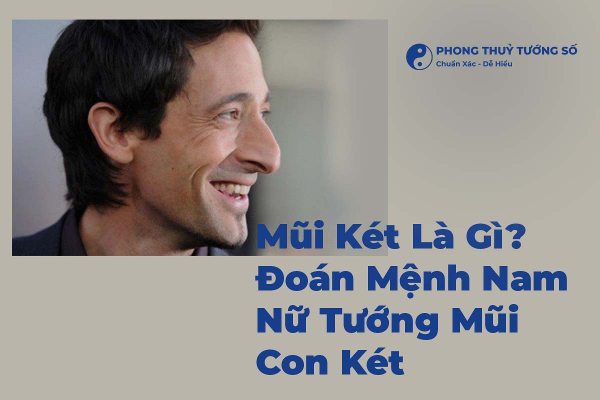 Mũi Két Là Gì? Đoán Mệnh Nam Nữ Tướng Mũi Con Két