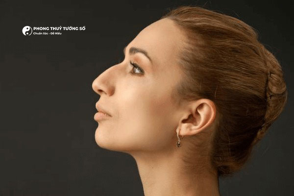 Mũi khoằm, còn được biết đến như qua các tên gọi như mũi diều hâu, mũi quặp, mũi, mũi két hay mũi chim ưng.