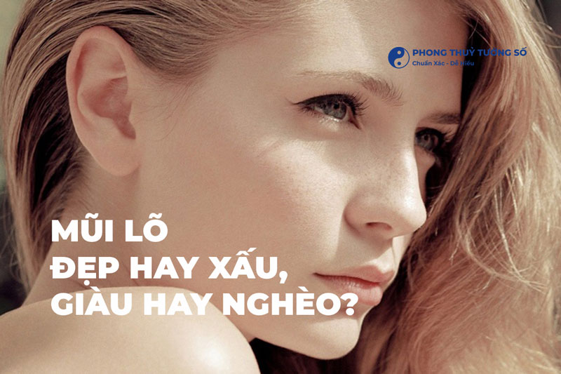 Mũi Lõ Là Gì: Đẹp Hay Xấu, Giàu Hay Nghèo?