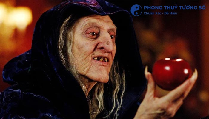 Những điều cần biết về mũi phù thủy