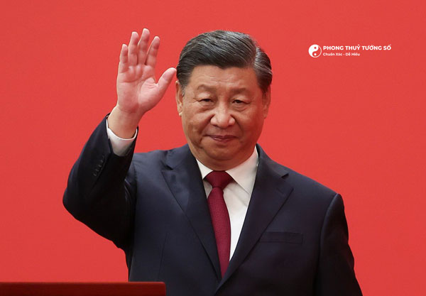 Xem tướng đàn ông mũi trâu