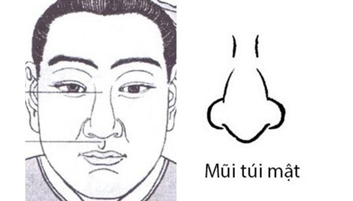 Mũi túi mật giàu có được nhiều tài lộc