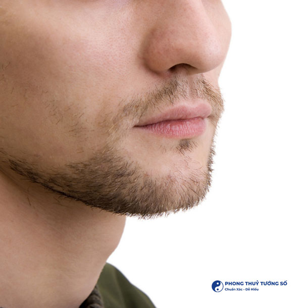 Chiếc mũi phản ánh đường tiền tài, phúc lộc của người đàn ông