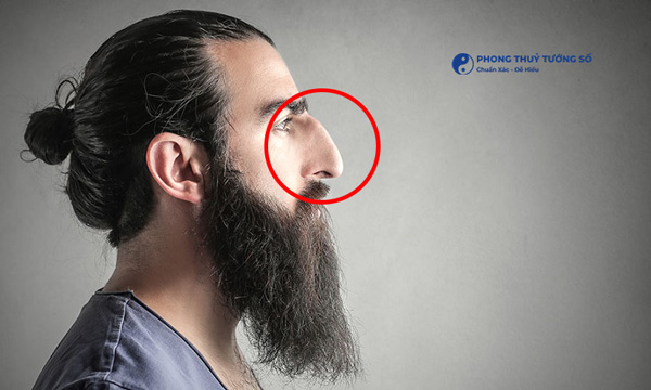 Đặc điểm của chiếc mũi diều hâu nhìn ngang