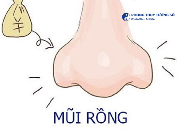 Tìm hiểu tướng mũi rồng là gì?
