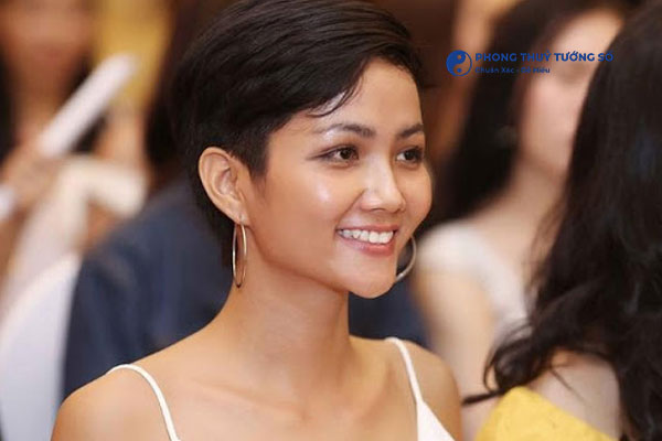 Đặc điểm dáng mũi rồng