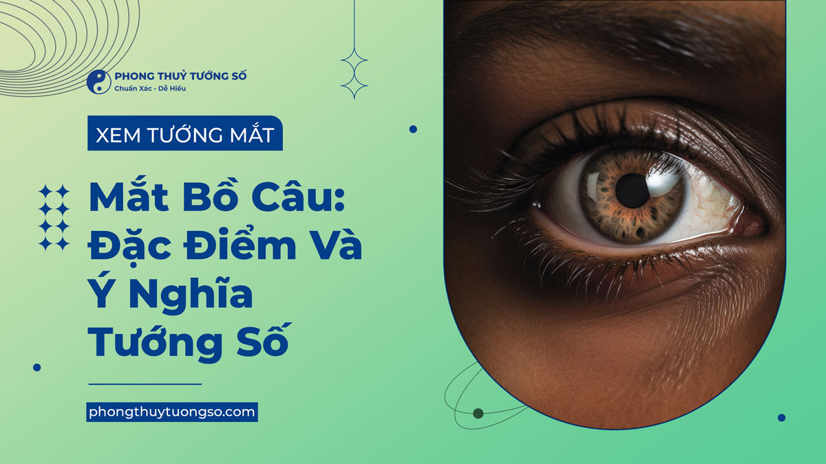 Luận bàn về tướng số của cặp mắt bồ câu