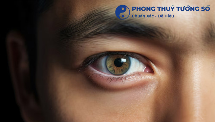 Giật mắt phải nam mang ý nghĩa gì theo từng khung giờ?