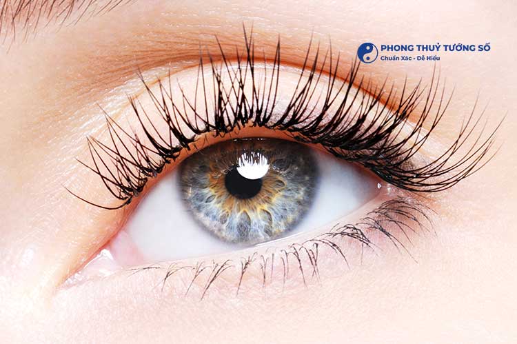 Trong quan niệm dân gian, mắt phượng (phụng nhãn) là một trong những chuẩn mực của cái đẹp