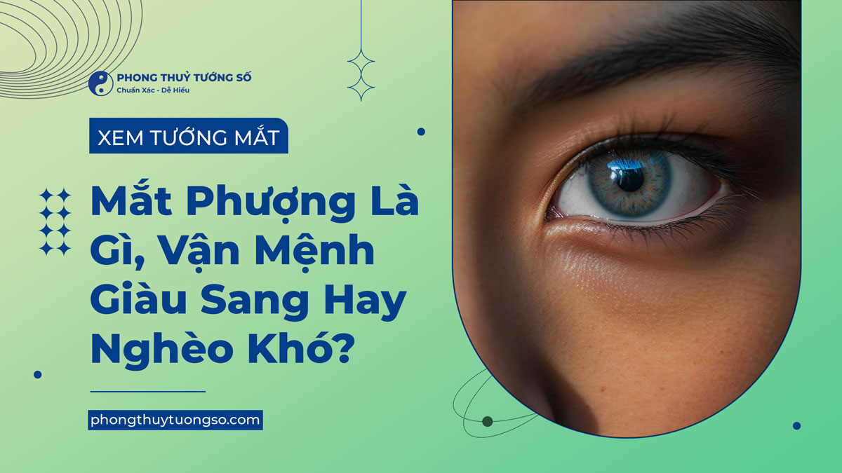 Tìm hiểu về tướng mắt phượng hoàng trong tướng số học