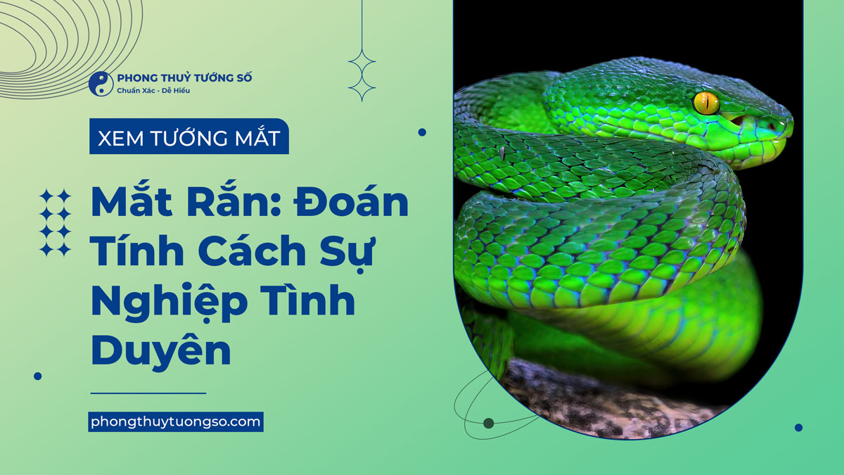 Luận bàn về vận số của người sở hữu đôi mắt rắn hay còn gọi là xà nhãn