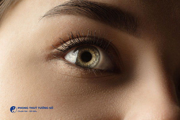 Về thẩm mỹ, xà nhãn là một dáng mắt đẹp