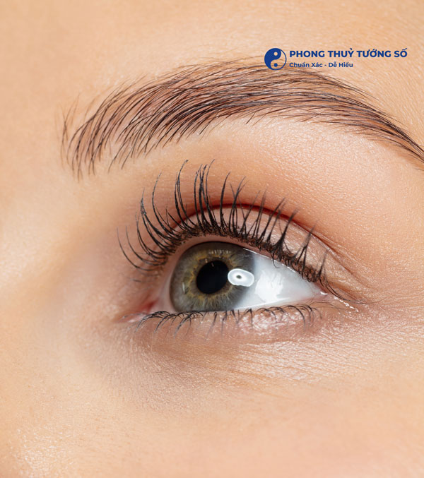 Giải mã hiện tượng giật mắt trái theo giới tính