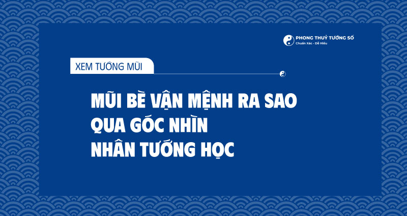 Mũi bè tiết lộ điều gì về tính cách và vận mệnh của chủ nhân