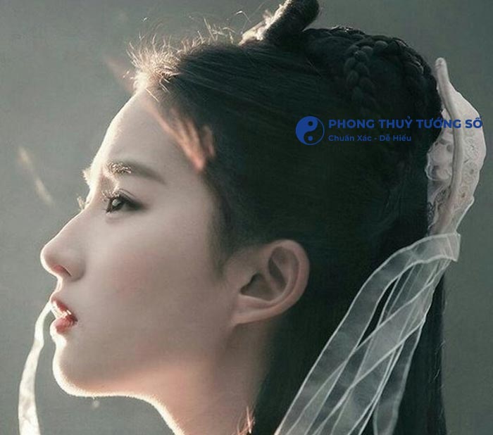 Lưu Diệc Phi (Tiểu Long Nữ trong phim Thần Điêu Đại Hiệp) sở hữu dáng mũi gồ