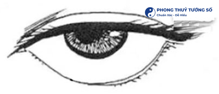 Mắt Tam Bạch là gì?