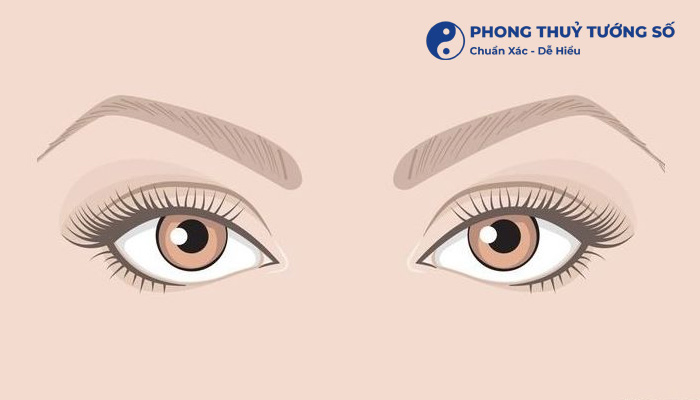 Luận Đoán Về Vận Mệnh Và Tướng Số Của Đôi Mắt Tam Bạch