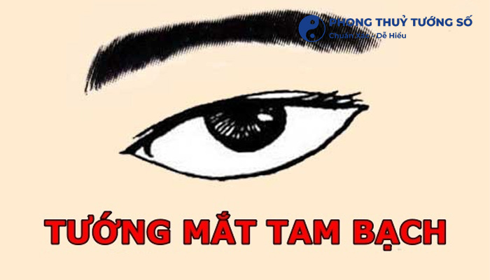 Tướng số nam nữ sở hữu mắt tam bạch