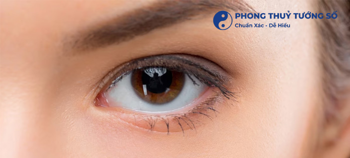 Mắt tam bạch là như thế nào?