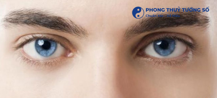 Tướng mắt tam bạch ở nam giới