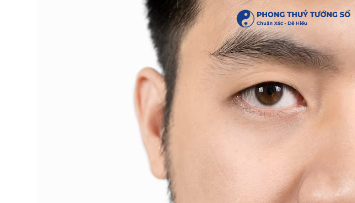 Tướng đàn ông mắt một mí