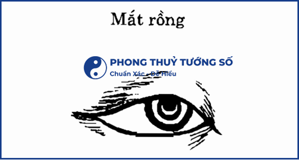Mắt rồng là tướng mắt đẹp nhất trong các tướng mắt