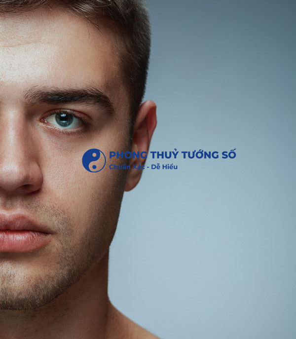Tướng số của nam giới có mắt rồng