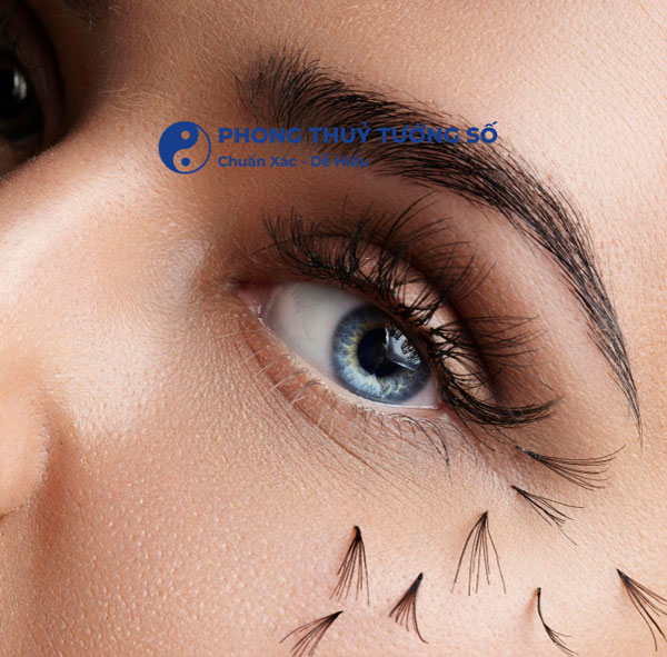 Mắt rồng đó là có phần đuôi xếch nhẹ lên trên, tròng mắt cũng đậm màu hơn bình thường